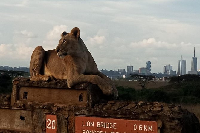 Nairobi National Park Game Drive With Free Pick Up Group Joining - Who will enjoy this safari most?