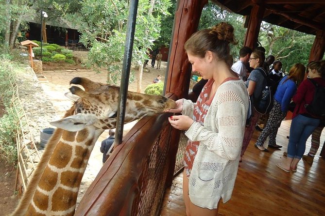 Nairobi National Park, Giraffe Center and Elephant Orphanage Day Tour from Nairobi - Who should book this day tour