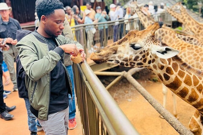 Nairobi National Park Giraffe Center Carnivore Lunch - Five things to know before booking