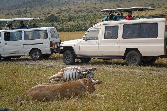 Nairobi National Park/ Giraffe Centre - What to expect inside Nairobi National Park