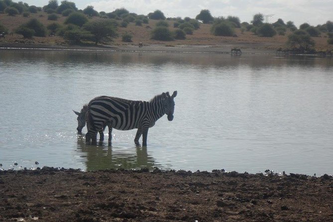 Nairobi National Park/ Giraffe Centre - The pop-up roof van makes a real difference