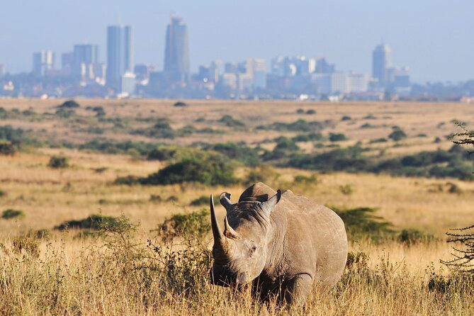 Nairobi National Park Group Shared Tour - Four hours among Nairobi’s wildlife