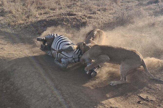 Nairobi National Park Group Shared Tour - Who should book this Nairobi park outing