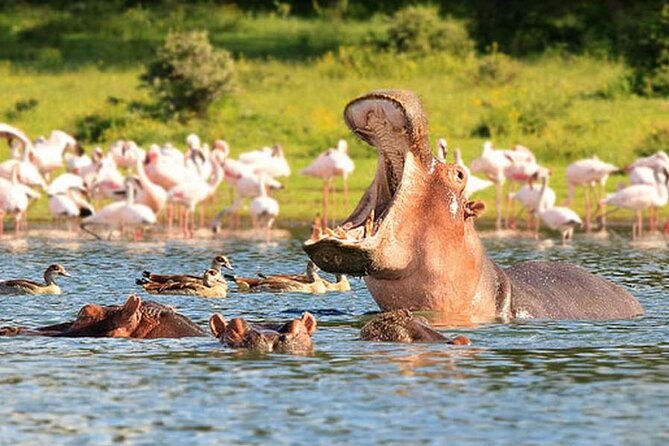 Nairobi National Park Group Tour - The price and what you still need to pay