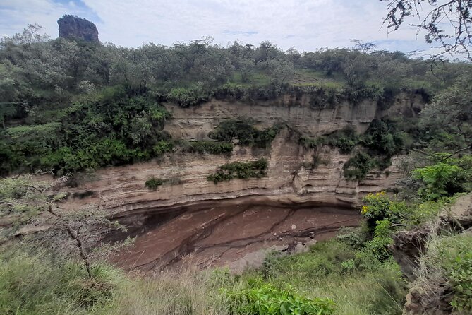 Nairobi National Park Group Tour - Who will get the most from this tour
