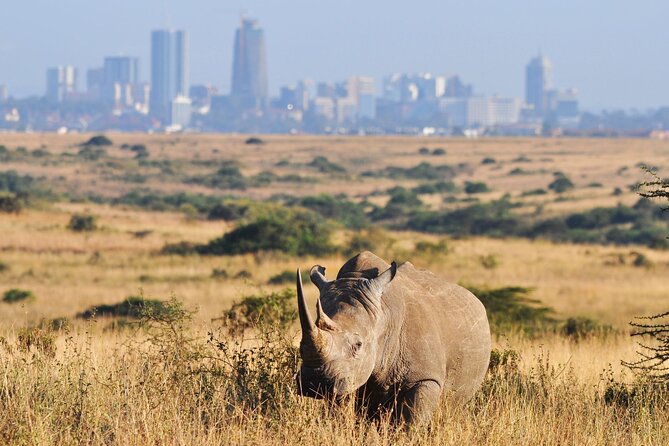 Nairobi National Park Group Tour - Booking advice, timing, and cancellation