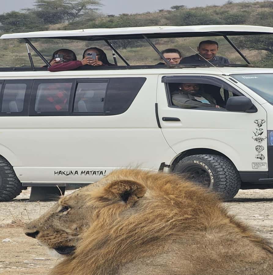 Nairobi: National Park Guided Game Drive - Inside the park: grasslands, acacias, and open views