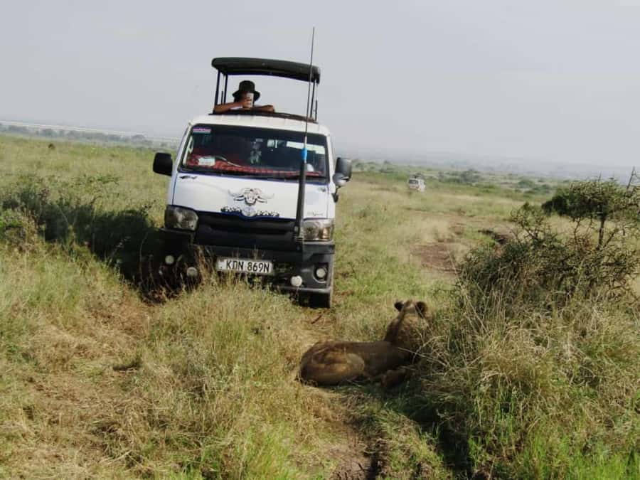 Nairobi: National Park Guided Game Drive For 5 Hours - Key points at a glance