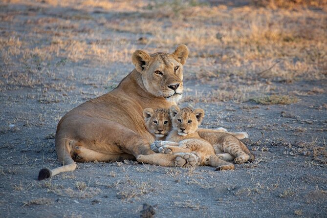 Nairobi National Park Half Day Game Drive Tour With Free WIFI - The coffee shop, beads factory, and community gift shop
