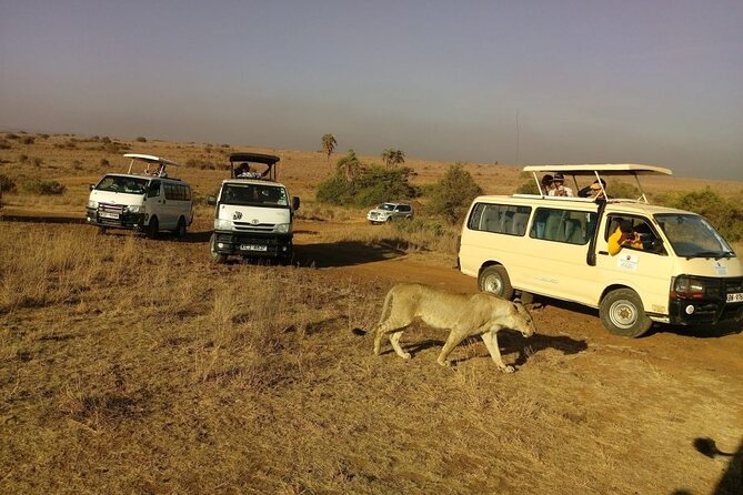 Nairobi National Park Half Day Game Drive Tour With Free WIFI - Who should book this Nairobi safari?