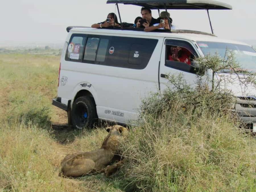 Nairobi National Park Half-Day Guided Game Drive With Pickup - The ride from Nairobi to the park