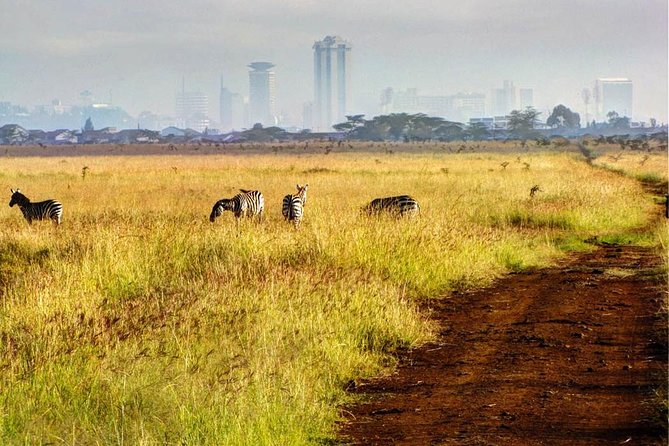 Nairobi National Park: Half Day Guided Tour From Nairobi - The 6:00 AM pickup and ride to the park