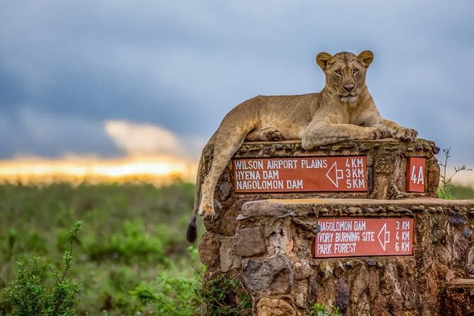 Nairobi National Park half-Day Tour; Free wifi Connection - The Nairobi skyline is part of the view