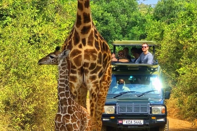 Nairobi National Park Half Day Tour with Landcruiser with Pickup - Pickup, entry, and the first hour