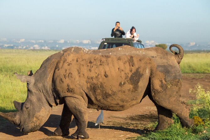 Nairobi National Park Half Day Tour with Landcruiser with Pickup - Five hours beneath the open pop roof