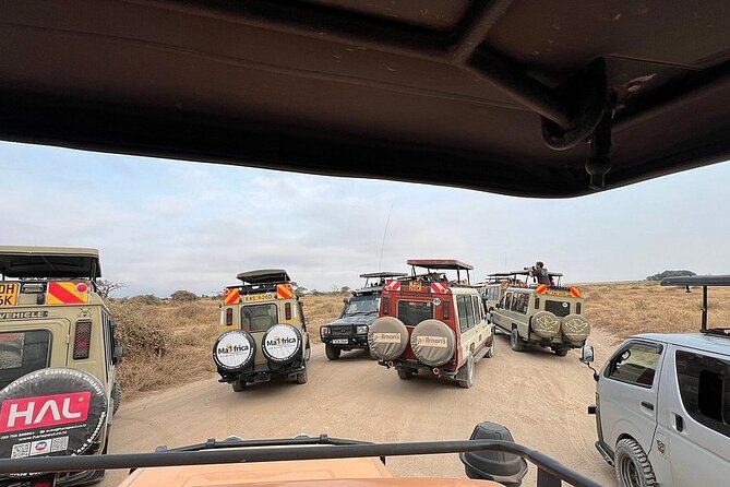 Nairobi National Park Half Day with Pickup - Who will get the most from this half-day drive