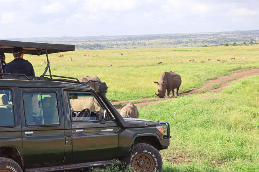 Nairobi National Park: Layover Tour in a 4X4 Safari Vehicle - Why Nairobi National Park Makes a Good Layover Safari