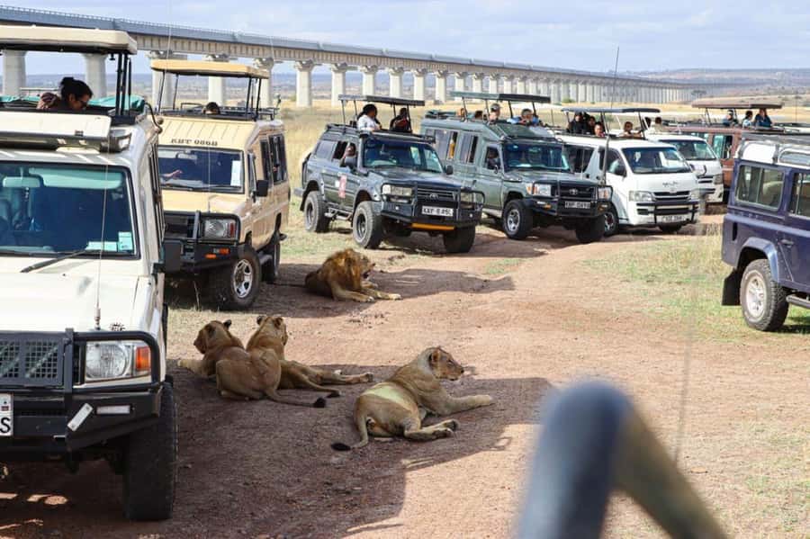 Nairobi National Park Morning Game Drive With Free Pickup - Entering the park and finding the first animals