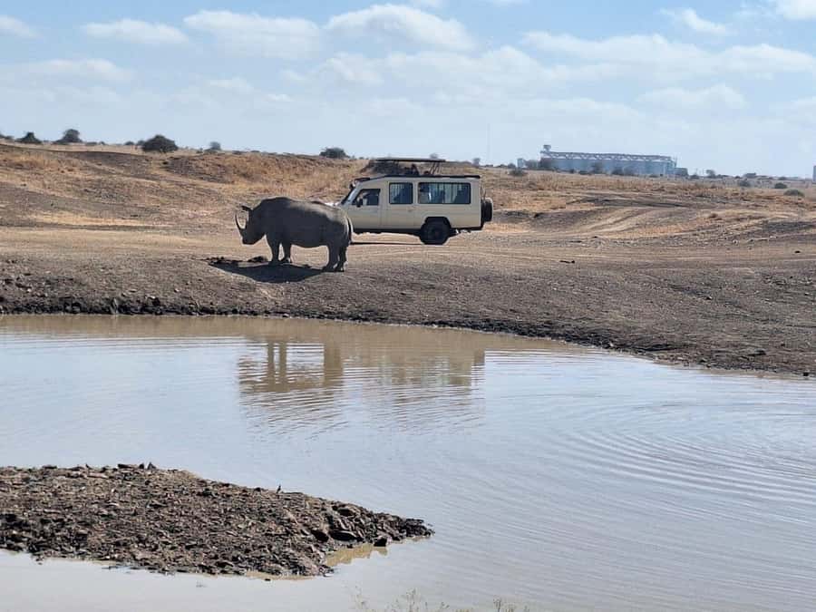 Nairobi National Park Morning Or Evening Game Drive Tour - Morning or Evening: Which Drive Fits You?