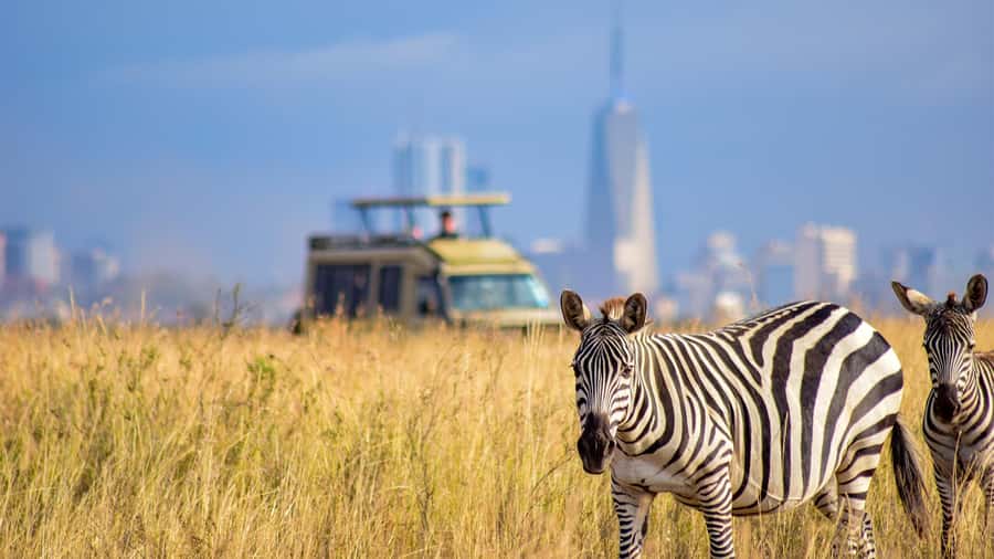 Nairobi National Park, Orphanage, Giraffe & Beads Tour - Five things to know before booking