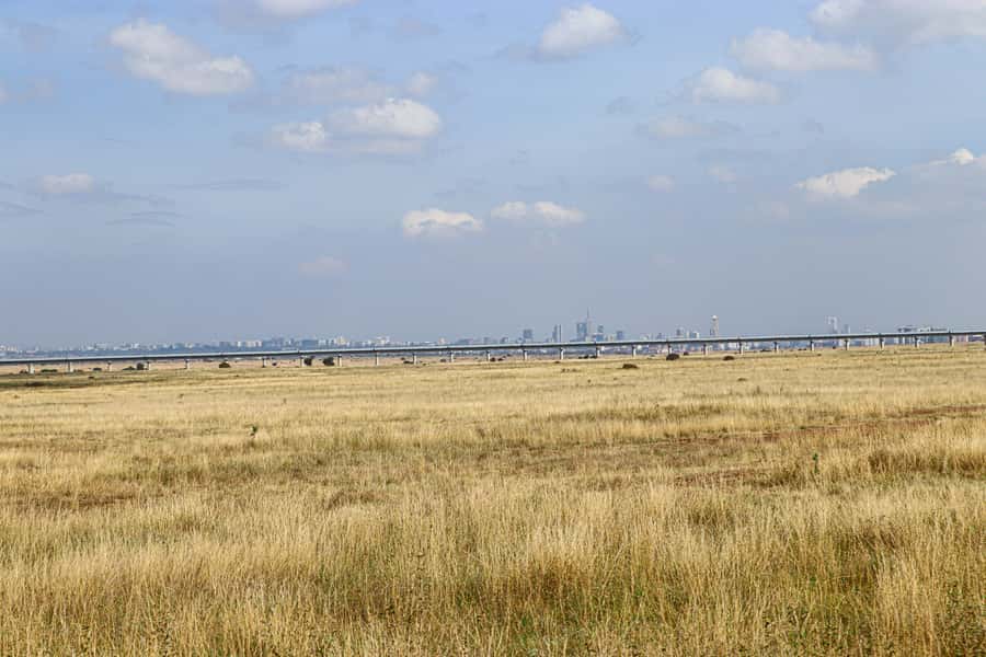 Nairobi National Park, Orphanage, Giraffe & Beads Tour - What the $140 price really covers