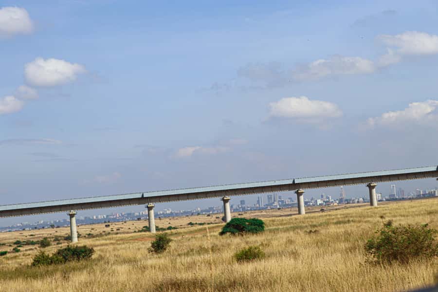 Nairobi National Park, Orphanage, Giraffe & Beads Tour - Nairobi National Park, wildlife beside the skyline