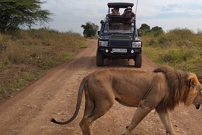 Nairobi National park private day tour - Key points to know before booking