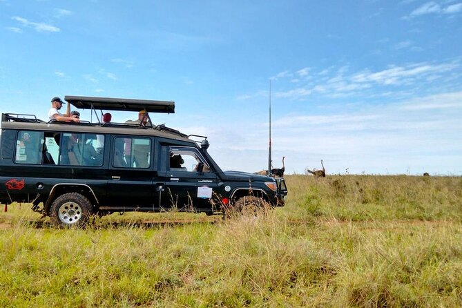 Nairobi National park private day tour - A city view with a wild backdrop
