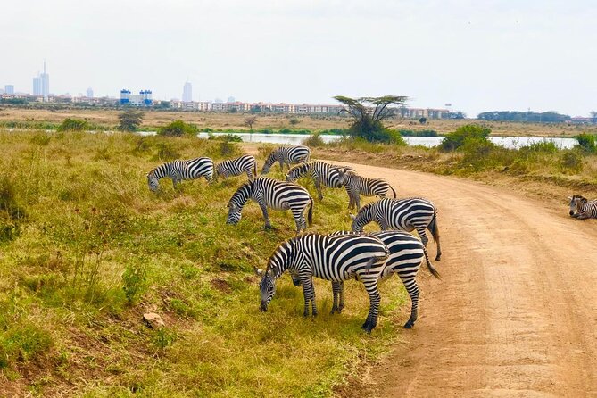 Nairobi National Park Private Half Day Tour - Is $155 per person good value?