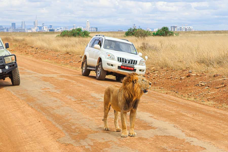 Nairobi: National Park Private Tour in 4X4 Jeep - Why Nairobi National Park makes a smart first safari