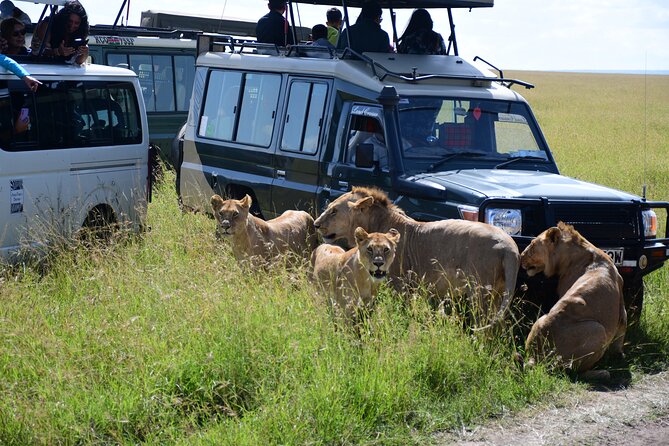 Nairobi National Park Shared Tour - Wildlife in Nairobi National Park