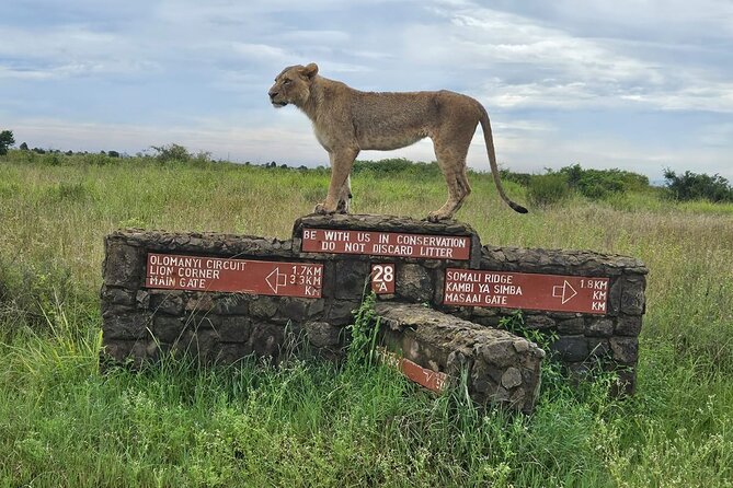 Nairobi National Park, Sheldrick Elephant, Giraffe Centre Tour - Why this Nairobi wildlife day works