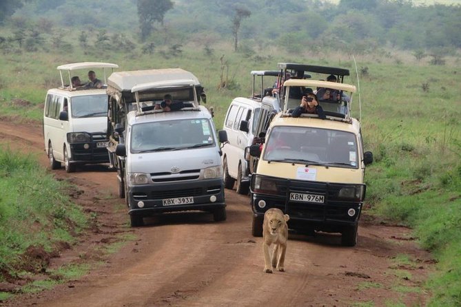Nairobi National Park, Sheldrick Elephant, Giraffe Centre Tour - Sheldrick’s orphaned elephants