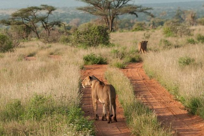Nairobi National Park, Sheldrick Elephant, Giraffe Centre Tour - How long the day feels