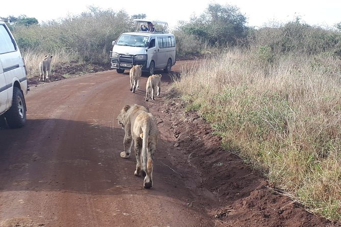 Nairobi National Park, Sheldrick Elephant, Giraffe Centre Tour - The 5:30 a.m. start and open-roof van