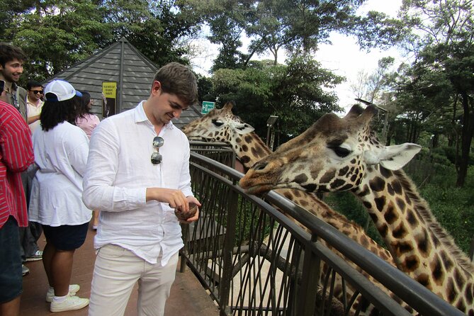 Nairobi National Park Sheldrick & Giraffe Centre Day Trip - Hand-feeding giraffes at the Giraffe Centre