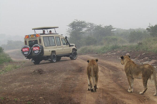 Nairobi National Park Sheldrick & Giraffe Centre Day Trip - Bomas of Kenya and the question of extra stops