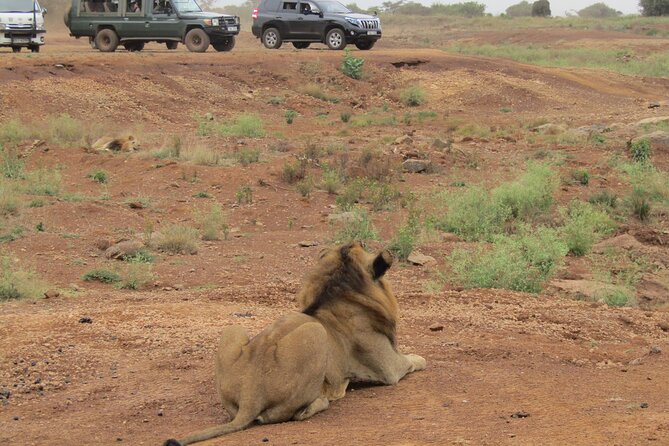Nairobi National Park Sheldrick & Giraffe Centre Day Trip - Price, added fees, and overall value