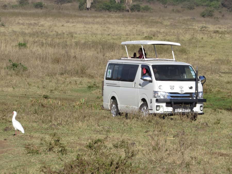Nairobi national park: Sunrise and Sunset Tours - Four hours among lions, rhinos, and giraffes