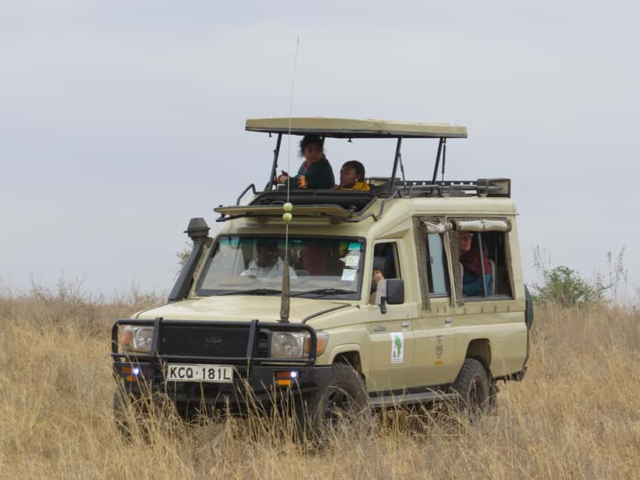 Nairobi national park: Sunrise and Sunset Tours - What the $37 price really means