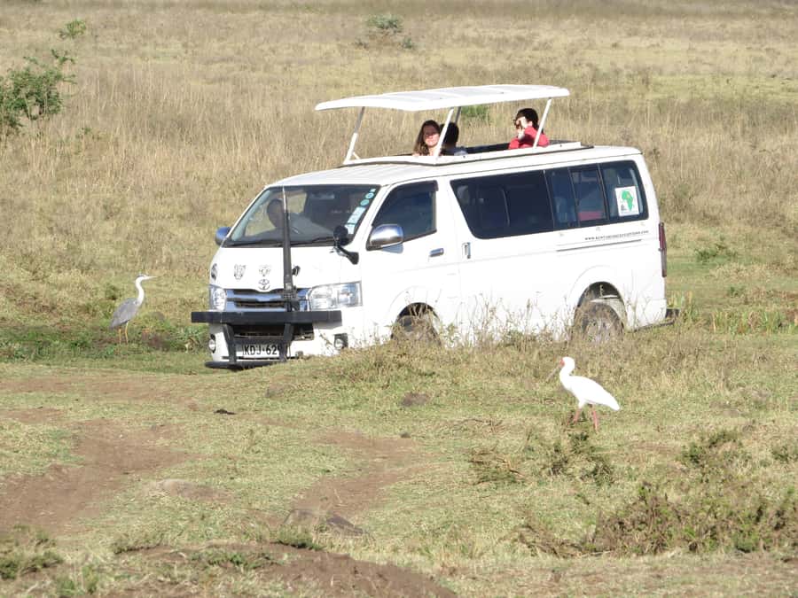 Nairobi national park: Sunrise and Sunset Tours - The early pickup and 30-minute transfer