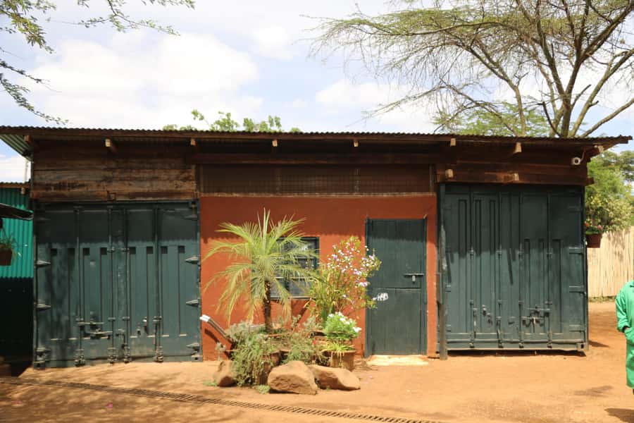Nairobi National Park with Options - Meeting rescued elephants at David Sheldrick Wildlife Trust