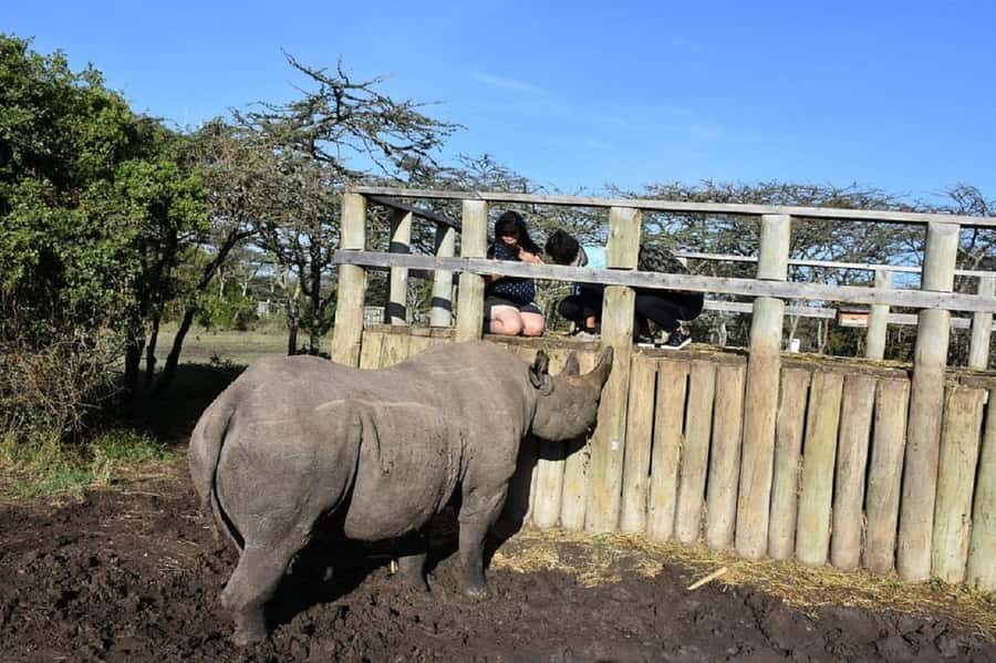 Nairobi: Ol Pejeta Conservancy Day Trip with Game Drives - Key Points Before You Book