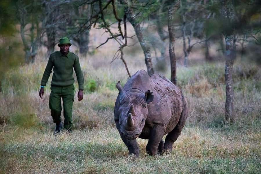 Nairobi: Ol Pejeta Conservancy Day Trip with Game Drives - What to Pack for This Full-Day Trip