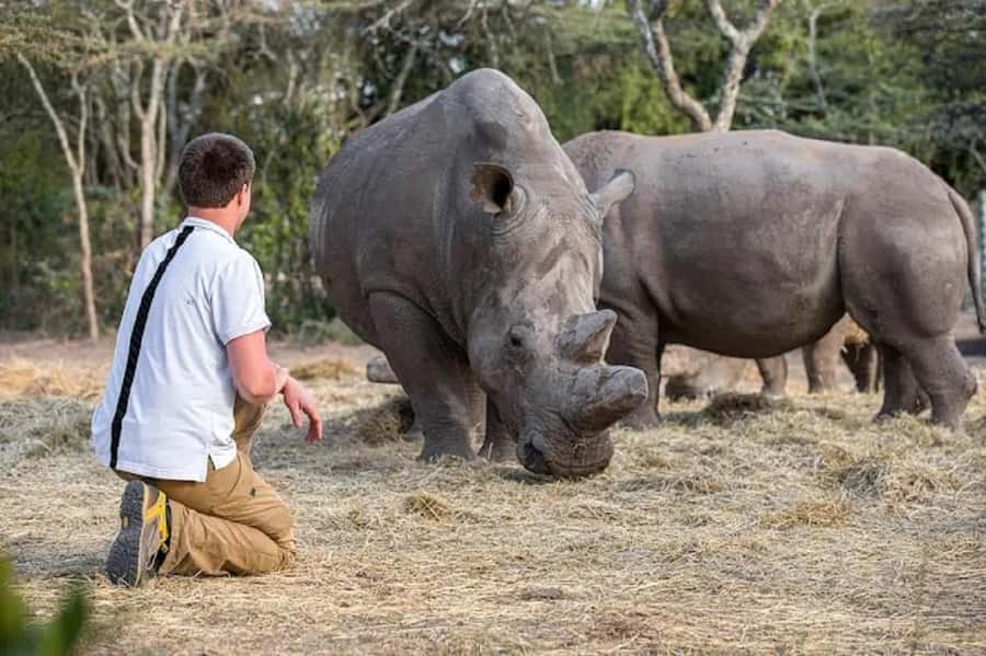 Nairobi: Ol Pejeta Conservancy Day Trip with Game Drives - Searching the Eastern Areas for Rare Species