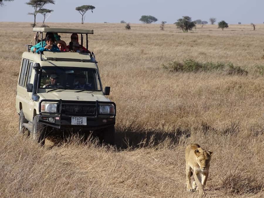 Nairobi: Overnight Safari Trip to Amboseli National Park - Who should book this Amboseli trip