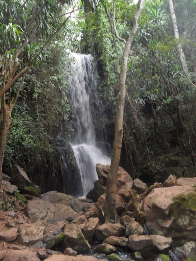 Nairobi: Paradise Lost Recreational Day Trip - Key points to know before you book