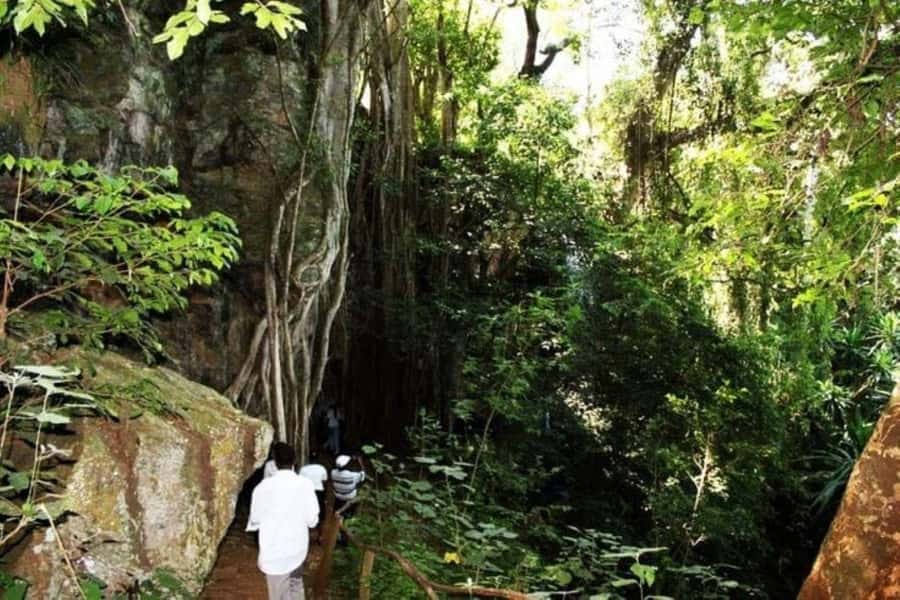 Nairobi: Paradise Lost Recreational Day Trip - What the Paradise Lost grounds offer