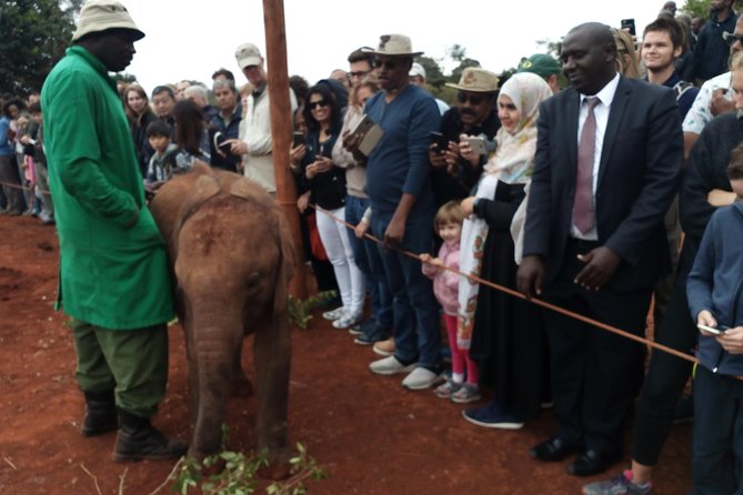 Nairobi park, steamark birds, Girraffe center & bomas - Transport, timing, and the human side of the tour