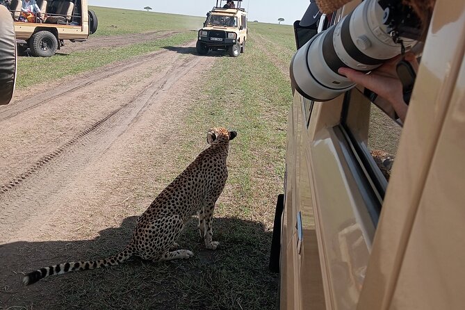 Nairobi Park Wildlife Safari - Why Nairobi National Park is worth your morning